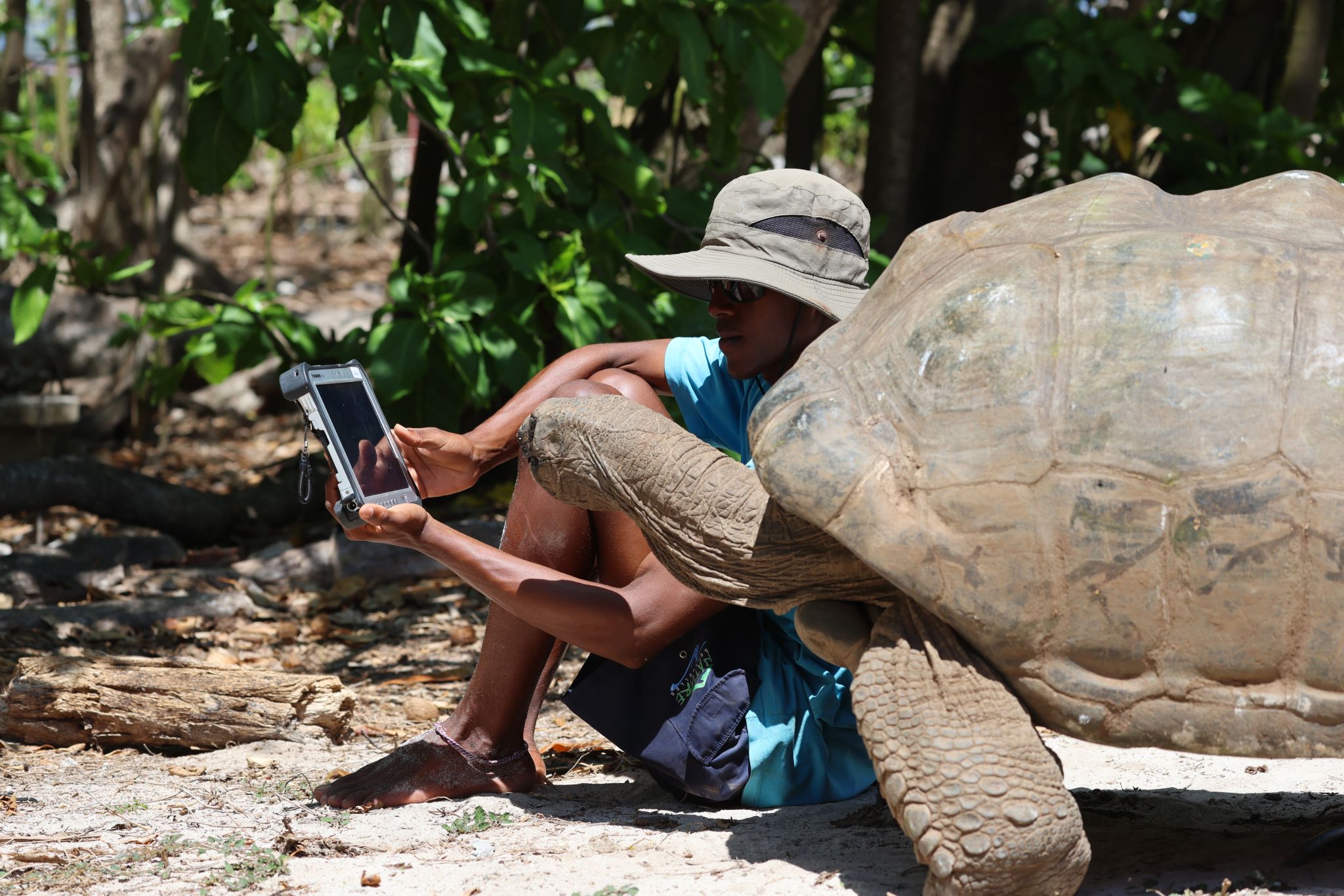 Conservation work on Cousin Island in Seychelles