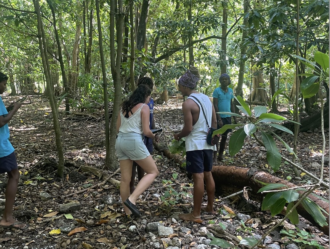 Wildlife monitoring with the ARM app