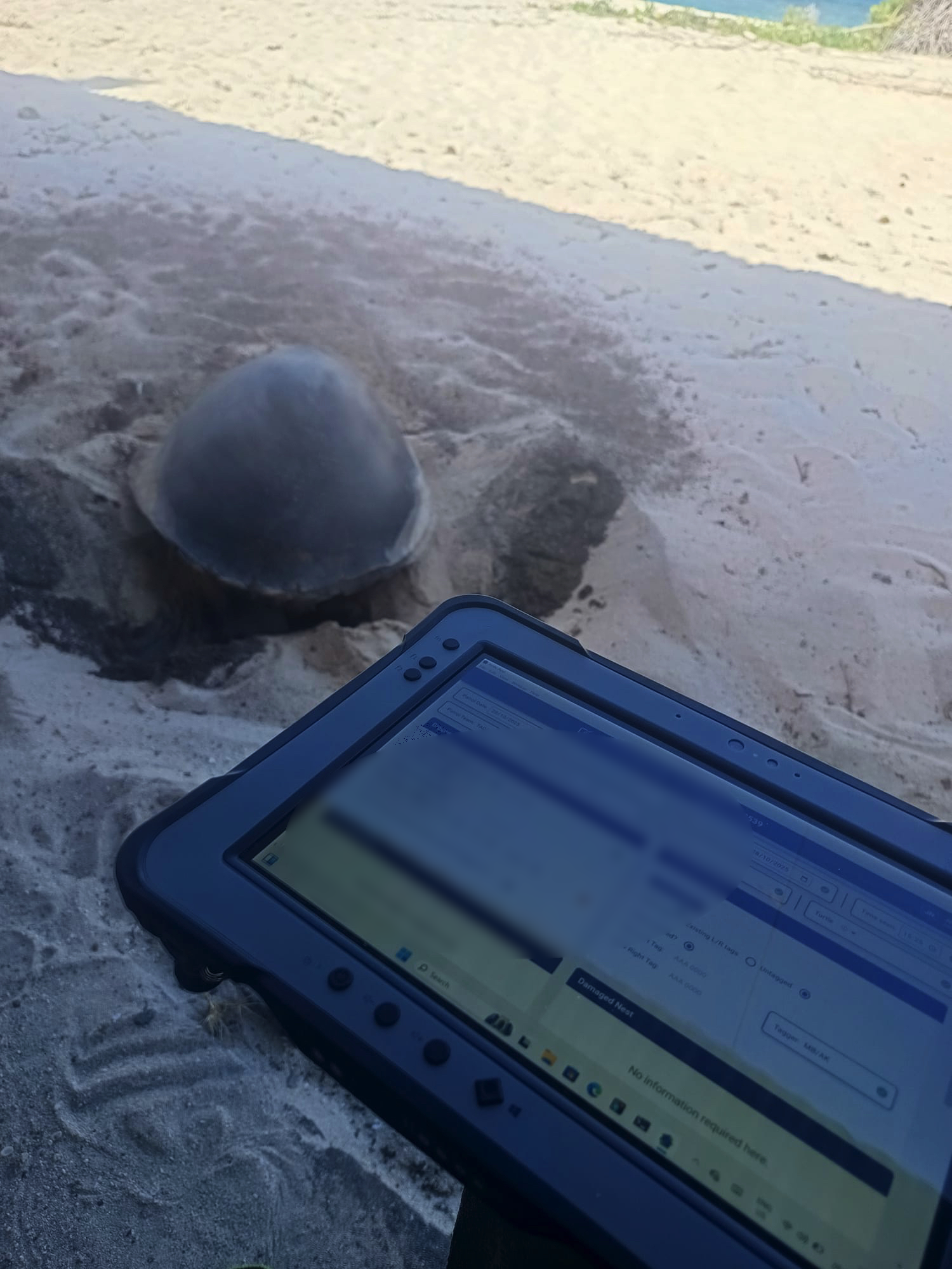 Field data collection on Cousin Island Special Reserve